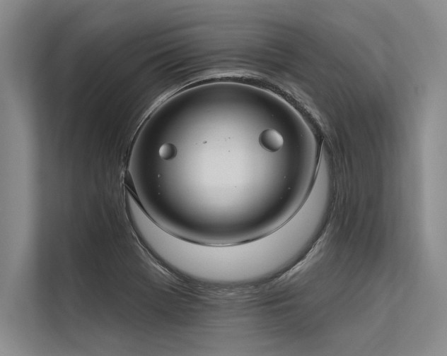 X0000113301369200909211112