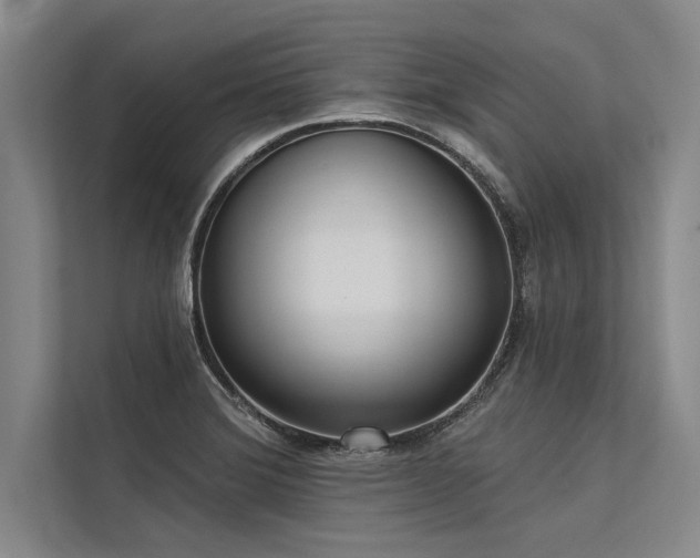 X0000113301372200909211112