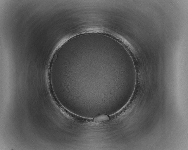 X0000113301373200909211112