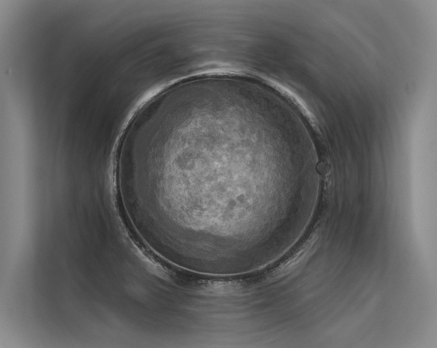 X0000113301375200909211112