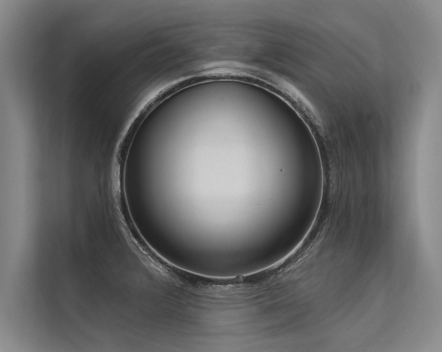 X0000113301376200909211112