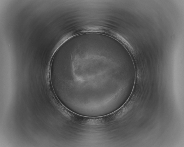 X0000113301378200909211112