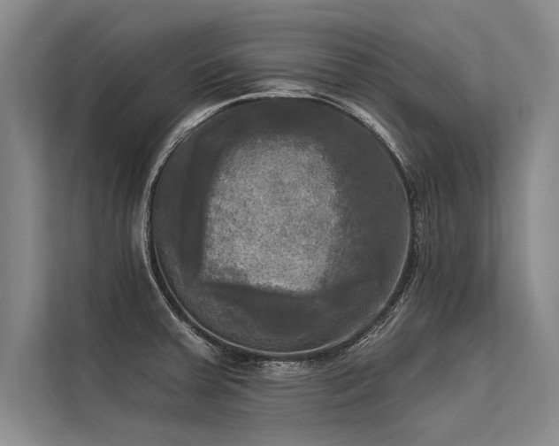 X0000113301379200909211112