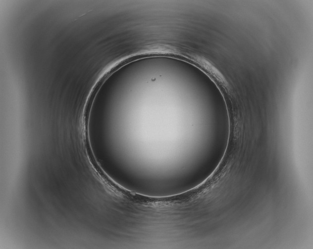 X0000113301380200909211112