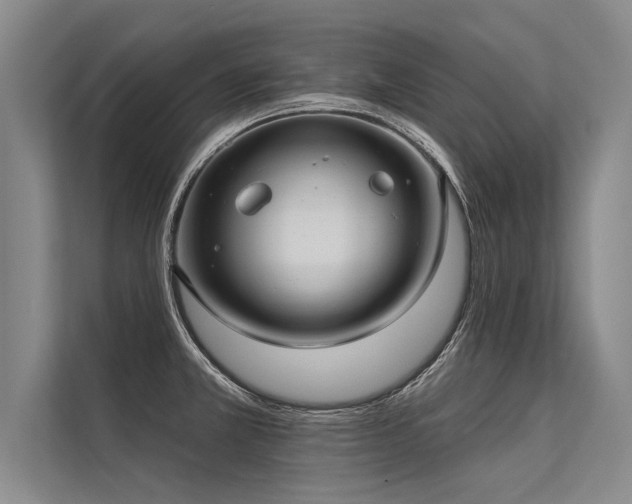 X0000113301381200909211112