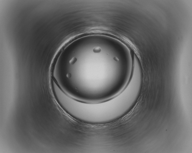 X0000113301384200909211112