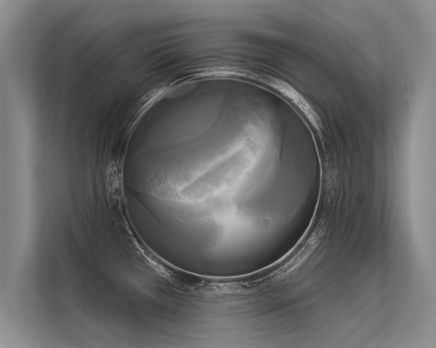 X0000113301385200909211112