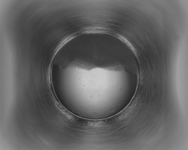 X0000113301386200909211112