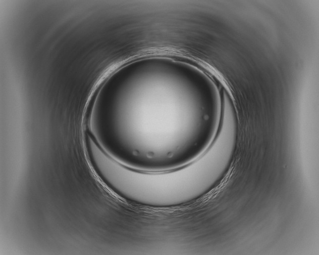 X0000113301389200909211112