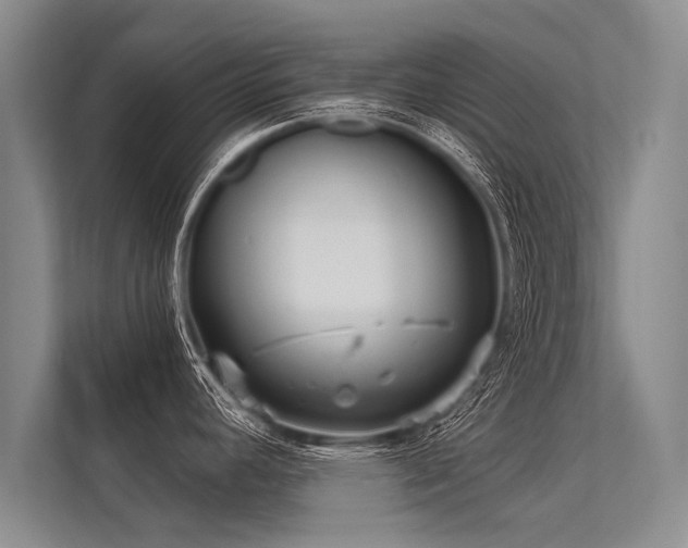 X0000113301392200909211112