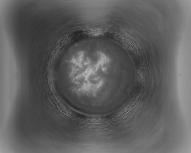 X0000113301393200909211111