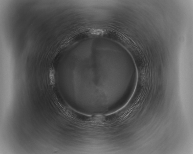 X0000113301394200909211111