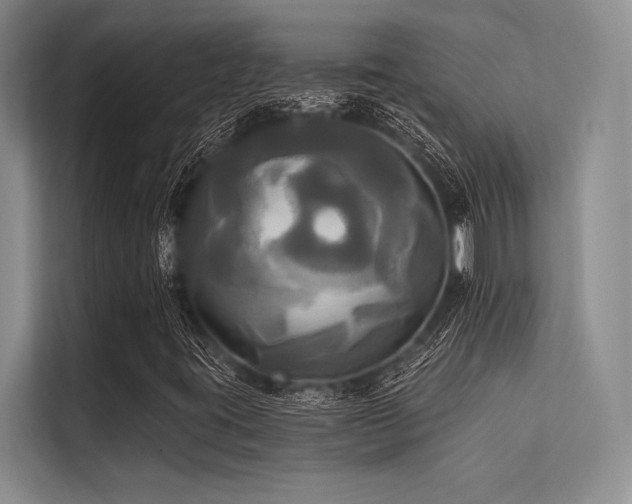 X0000113301395200909211111