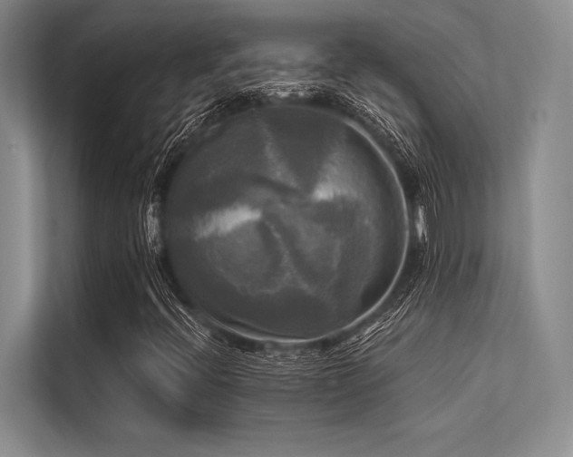 X0000113301396200909211111