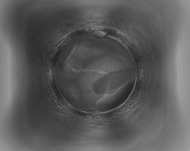 X0000113301397200909211111