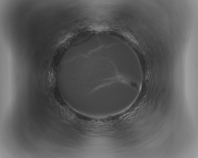 X0000113301398200909211111