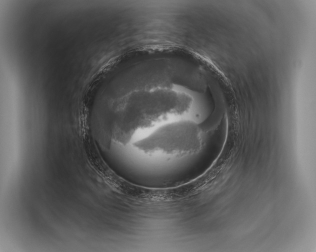 X0000113301399200909211111