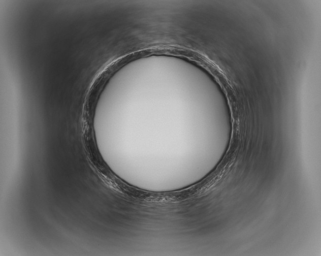 X0000113301400200909211111