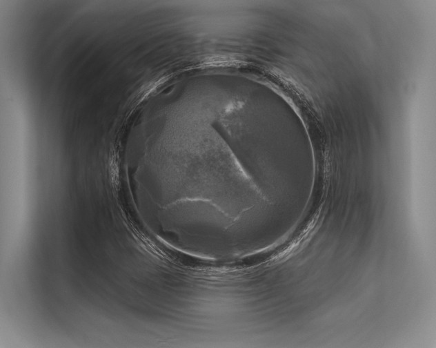 X0000113301401200909211111