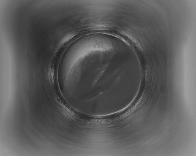 X0000113301402200909211111