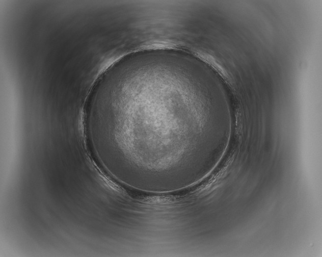 X0000113301404200909211111