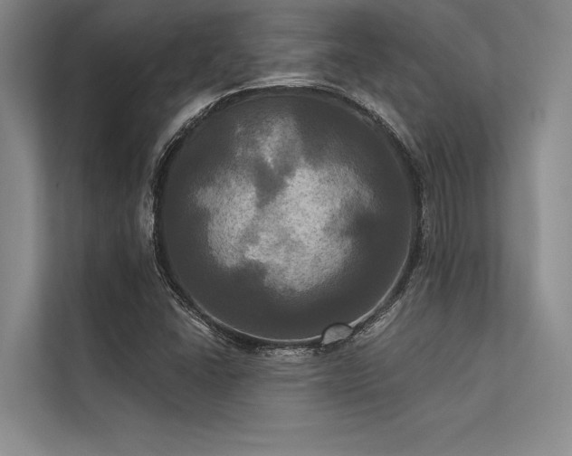 X0000113301406200909211111