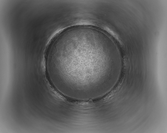 X0000113301408200909211111