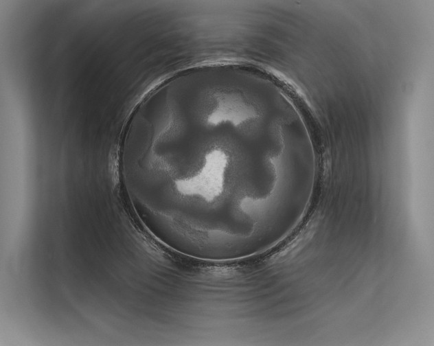 X0000113301409200909211111