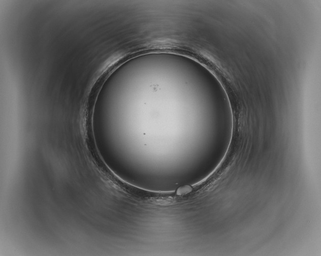 X0000113301410200909211111