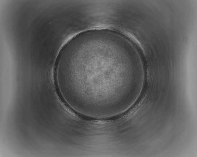 X0000113301412200909211111