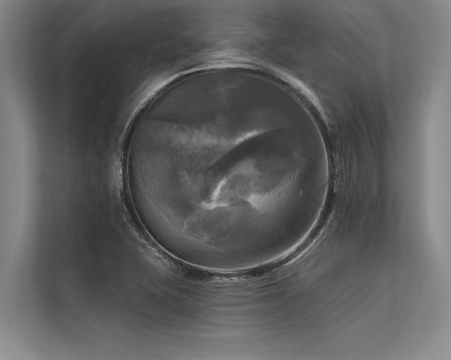 X0000113301415200909211112