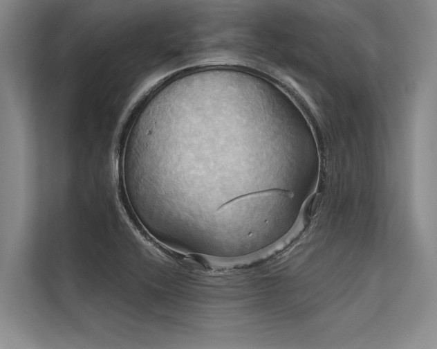 X0000113301416200909211112