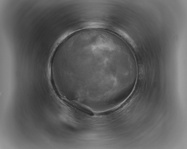 X0000113301419200909211112