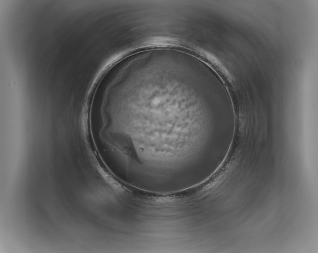 X0000113301421200909211112