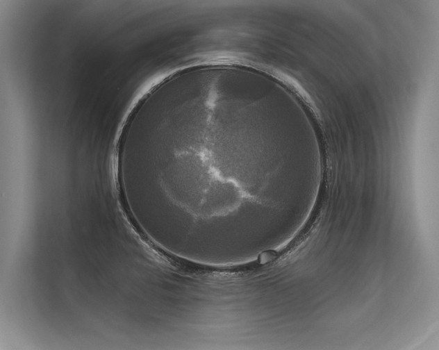 X0000113301424200909211112