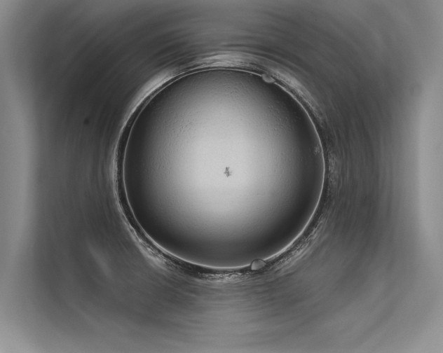 X0000113301426200909211112