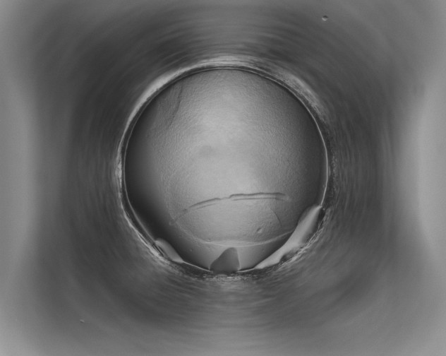 X0000113301428200909211112