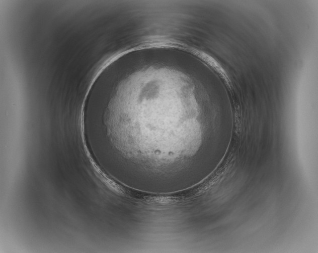 X0000113301431200909211112