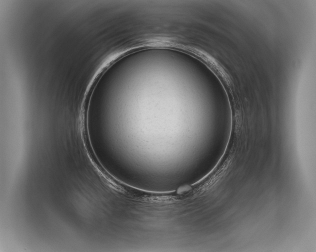 X0000113301432200909211112