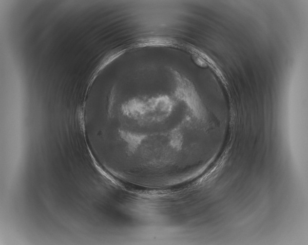 X0000113301433200909211112