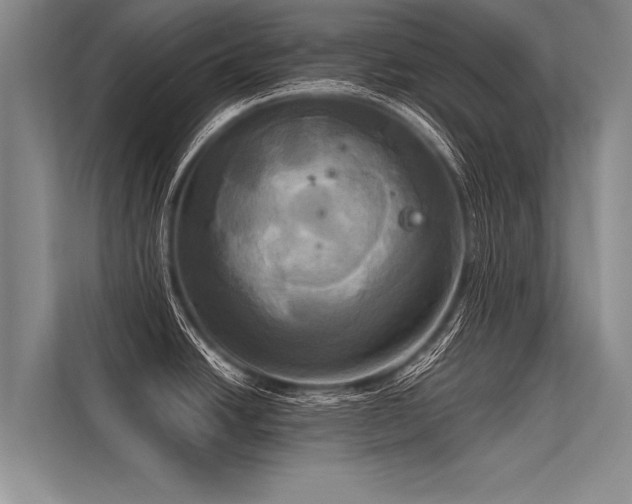 X0000113301438200909211112