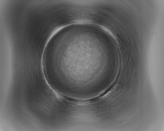 X0000113301440200909211112