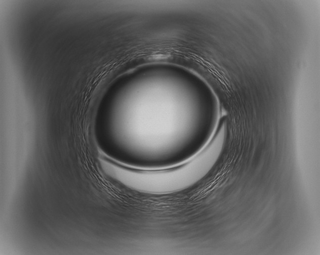 X0000113301441200909211111