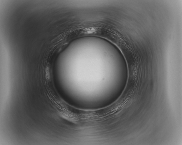 X0000113301442200909211111