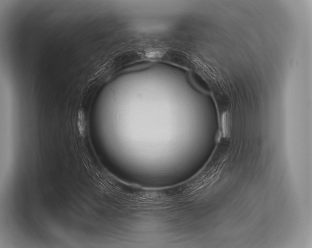 X0000113301443200909211111