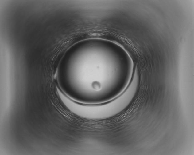 X0000113301444200909211111