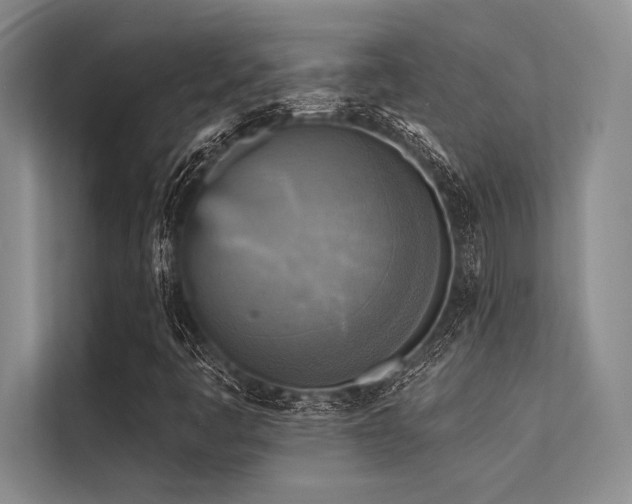 X0000113301445200909211111