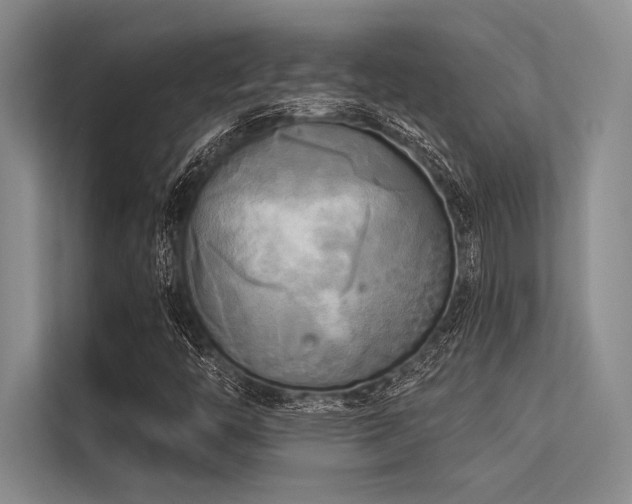 X0000113301446200909211111