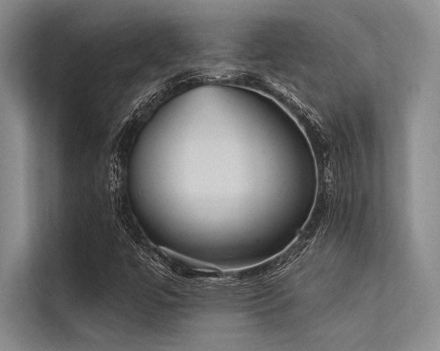 X0000113301447200909211111