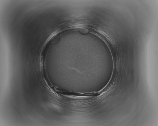 X0000113301450200909211111